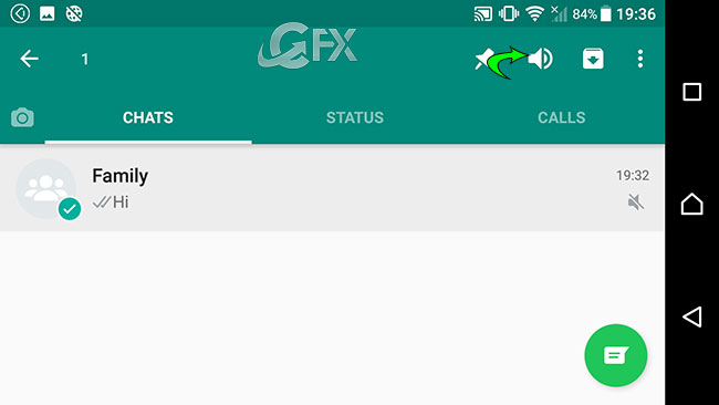 How to Mute a Group Chat or Friends Chat on WhatsApp