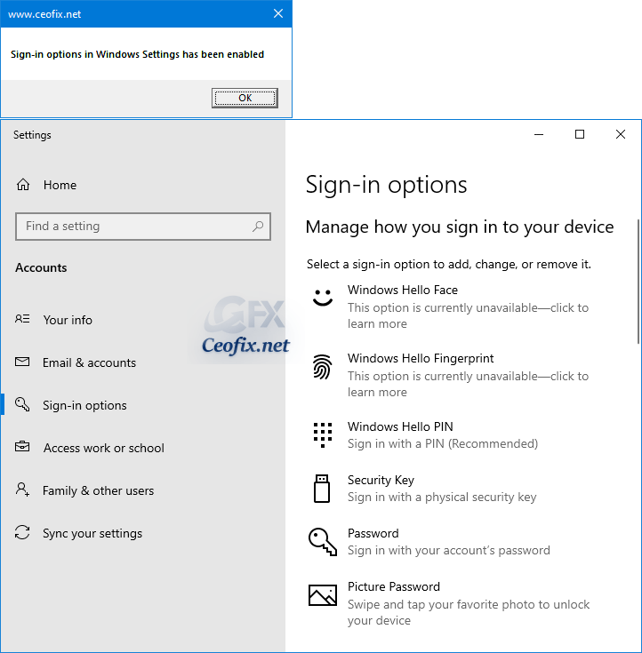 Sign-in options in Windows Settings enabled 