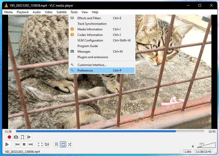 VLC Preferences