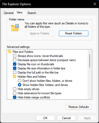 File explorer options